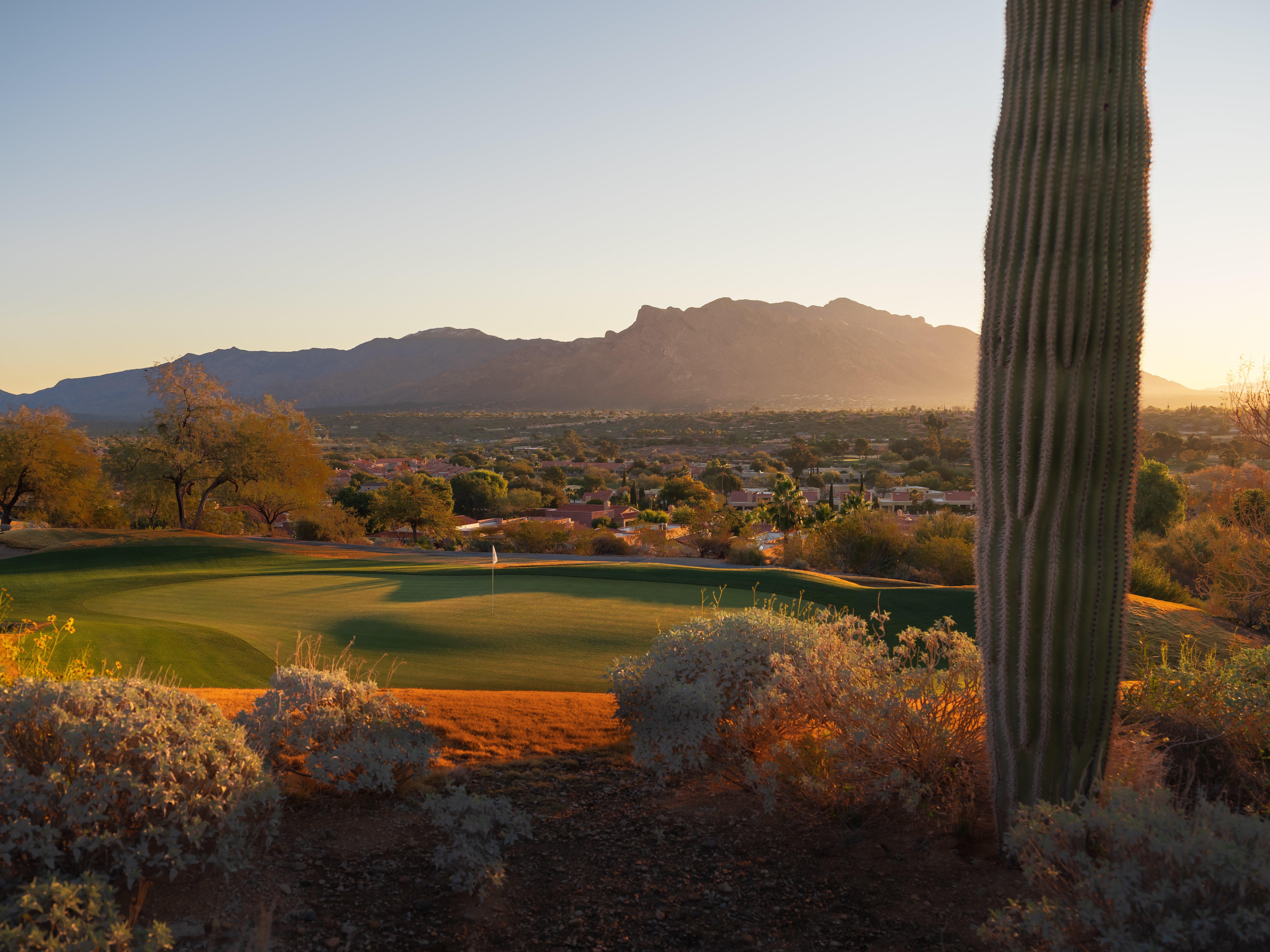 Omni Tucson National Resort & Spa Casas Adobes Eksteriør billede