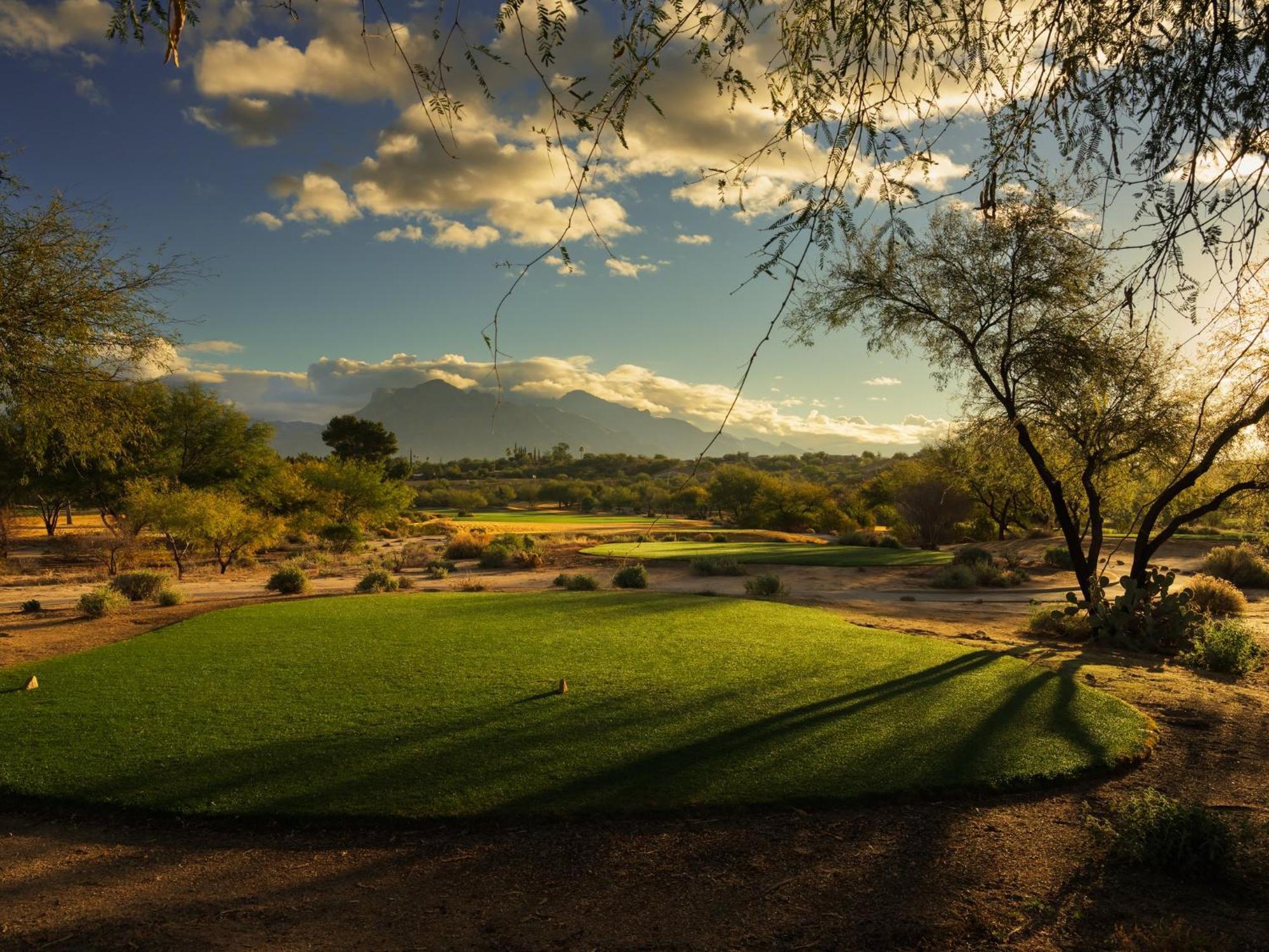 Omni Tucson National Resort & Spa Casas Adobes Eksteriør billede