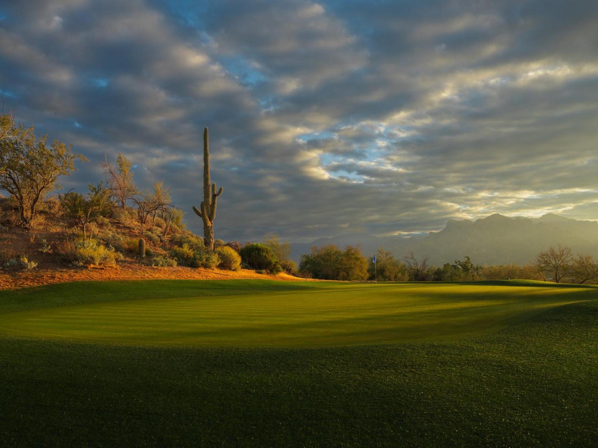 Omni Tucson National Resort & Spa Casas Adobes Eksteriør billede